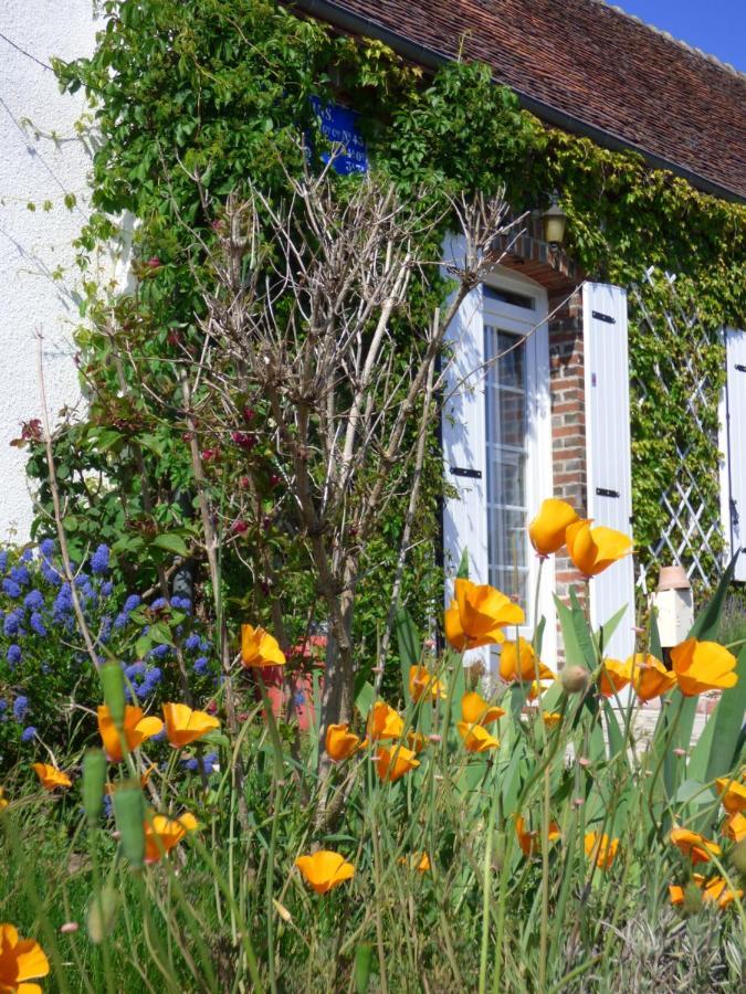 chambres d'hôtes les Muscaris Feins-en-Gatinais Exterior foto